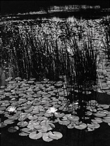 Image description is not available for 1996.060